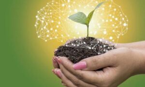 Como a inteligência artificial ajuda o produtor rural a se destacar